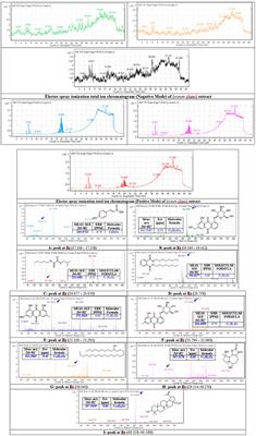 Stimulatory effects of Lycium shawii on human melanocyte proliferation, migration, and melanogenesis: In vitro and in silico studies